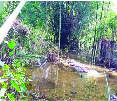 Image of মো: মাঈন উদ্দিন